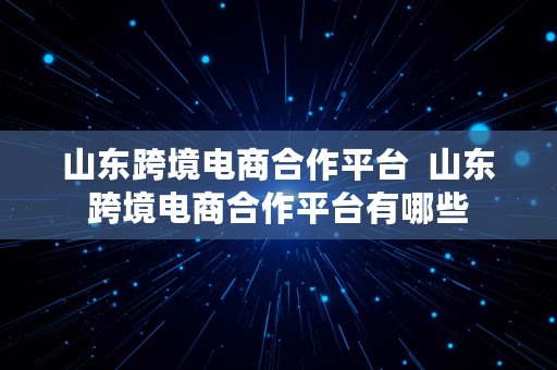 山东跨境电商合作平台  山东跨境电商合作平台有哪些