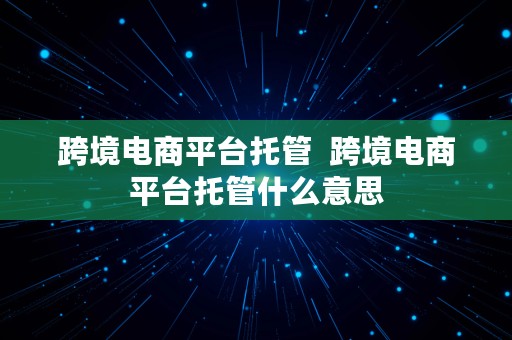 跨境电商平台托管  跨境电商平台托管什么意思