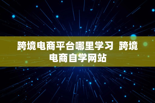 跨境电商平台哪里学习  跨境电商自学网站