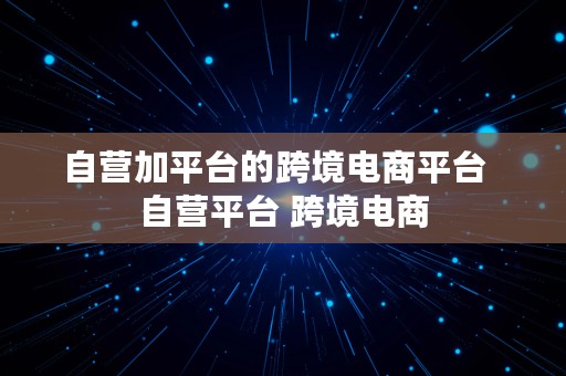 自营加平台的跨境电商平台  自营平台 跨境电商