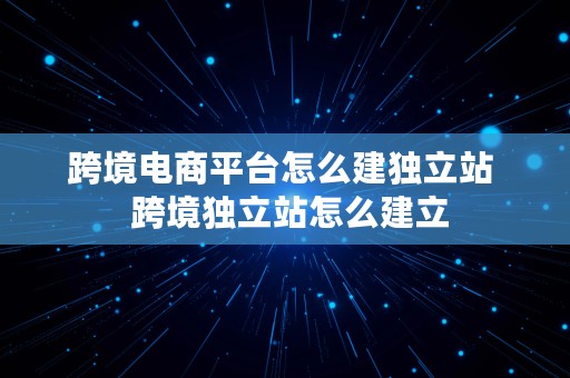 跨境电商平台怎么建独立站  跨境独立站怎么建立