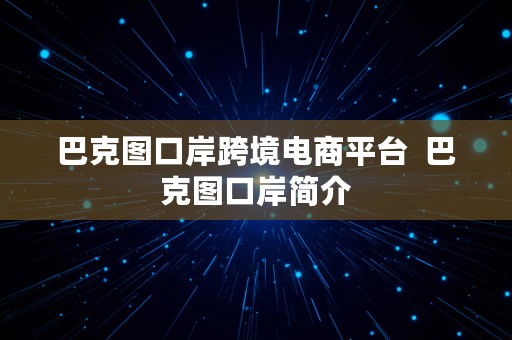 巴克图口岸跨境电商平台  巴克图口岸简介