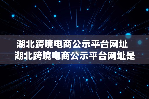 湖北跨境电商公示平台网址  湖北跨境电商公示平台网址是什么