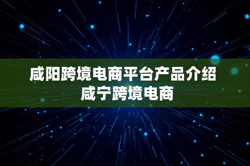 咸阳跨境电商平台产品介绍  咸宁跨境电商