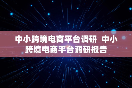 中小跨境电商平台调研  中小跨境电商平台调研报告