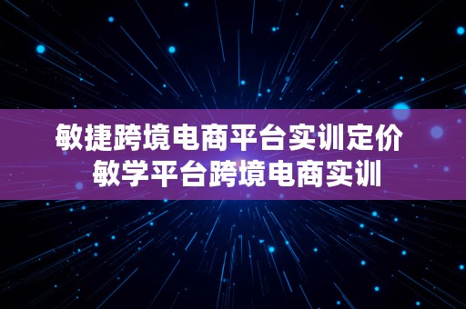 敏捷跨境电商平台实训定价  敏学平台跨境电商实训