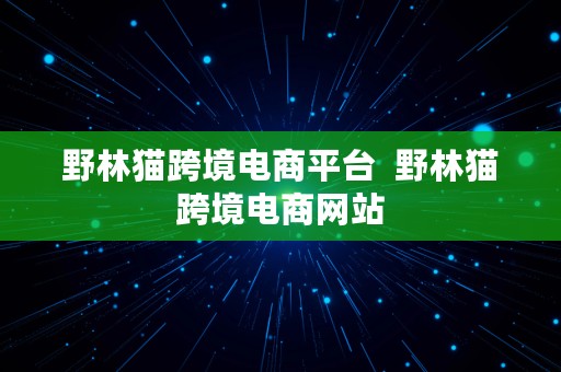 野林猫跨境电商平台  野林猫跨境电商网站