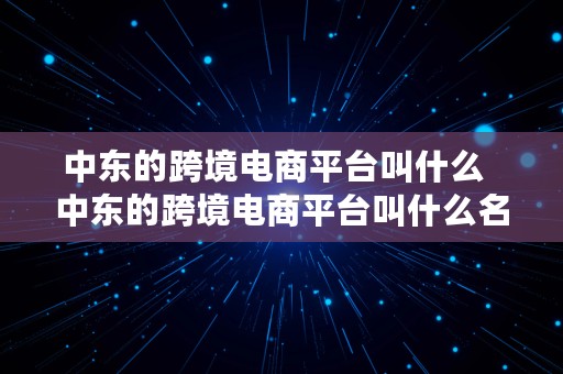 中东的跨境电商平台叫什么  中东的跨境电商平台叫什么名字