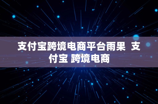 支付宝跨境电商平台雨果  支付宝 跨境电商