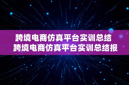 跨境电商仿真平台实训总结  跨境电商仿真平台实训总结报告