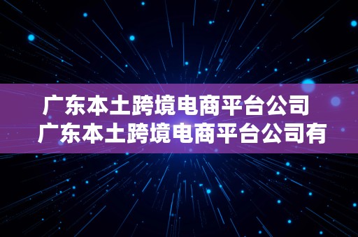 广东本土跨境电商平台公司  广东本土跨境电商平台公司有哪些