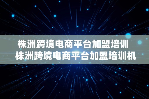 株洲跨境电商平台加盟培训  株洲跨境电商平台加盟培训机构