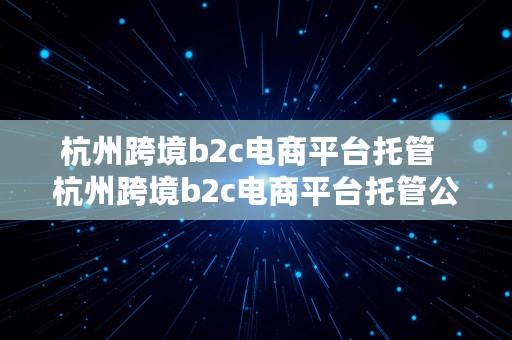 杭州跨境b2c电商平台托管  杭州跨境b2c电商平台托管公司