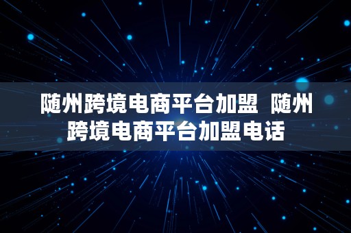 随州跨境电商平台加盟  随州跨境电商平台加盟电话