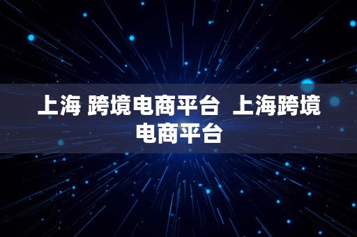 上海 跨境电商平台  上海跨境电商平台