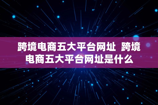 跨境电商五大平台网址  跨境电商五大平台网址是什么