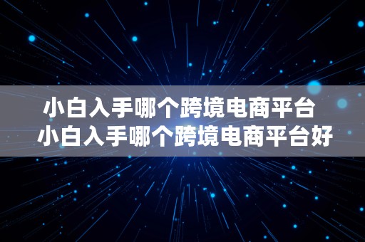 小白入手哪个跨境电商平台  小白入手哪个跨境电商平台好