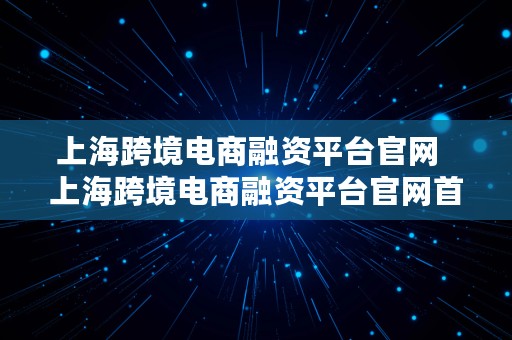 上海跨境电商融资平台官网  上海跨境电商融资平台官网首页