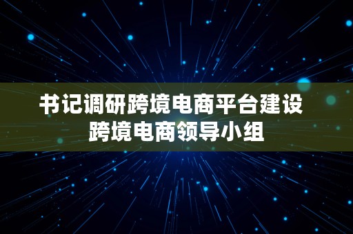 书记调研跨境电商平台建设  跨境电商领导小组