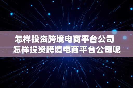 怎样投资跨境电商平台公司  怎样投资跨境电商平台公司呢