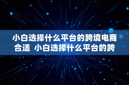 小白选择什么平台的跨境电商合适  小白选择什么平台的跨境电商合适呢