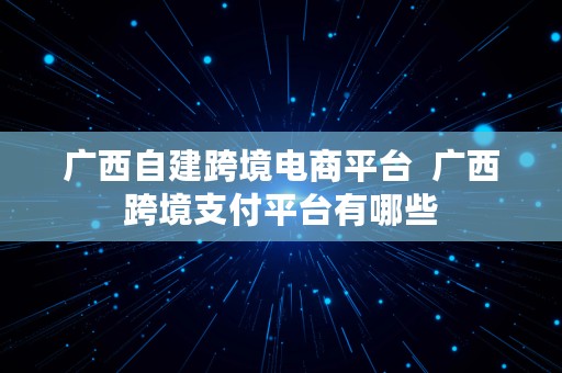 广西自建跨境电商平台  广西跨境支付平台有哪些