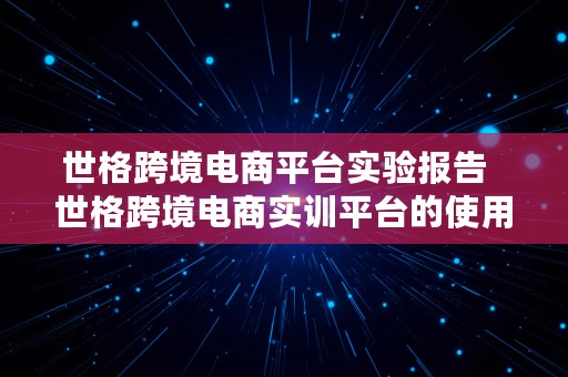 世格跨境电商平台实验报告  世格跨境电商实训平台的使用