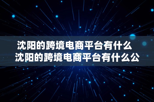 沈阳的跨境电商平台有什么  沈阳的跨境电商平台有什么公司