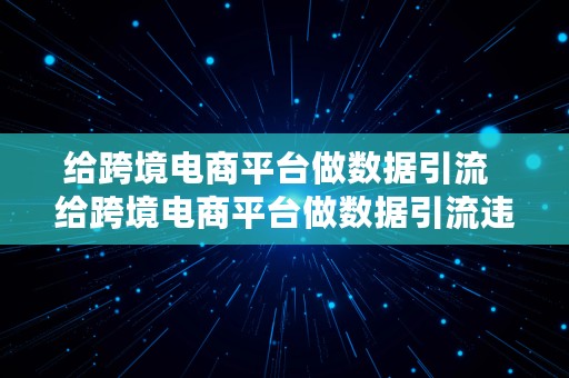 给跨境电商平台做数据引流  给跨境电商平台做数据引流违法吗