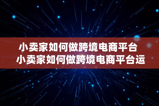 小卖家如何做跨境电商平台  小卖家如何做跨境电商平台运营