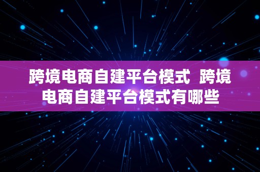 跨境电商自建平台模式  跨境电商自建平台模式有哪些