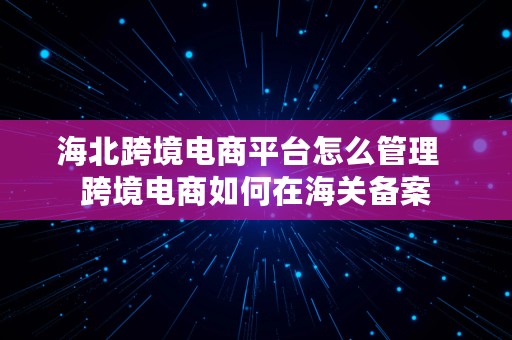 海北跨境电商平台怎么管理  跨境电商如何在海关备案