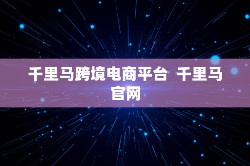 千里马跨境电商平台  千里马官网