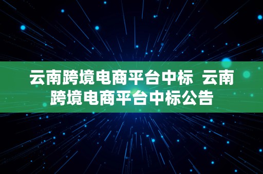 云南跨境电商平台中标  云南跨境电商平台中标公告