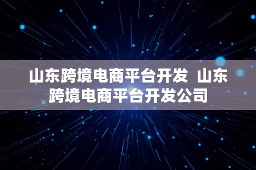 山东跨境电商平台开发  山东跨境电商平台开发公司