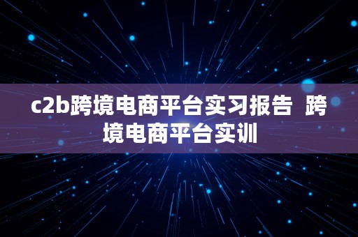 c2b跨境电商平台实习报告  跨境电商平台实训