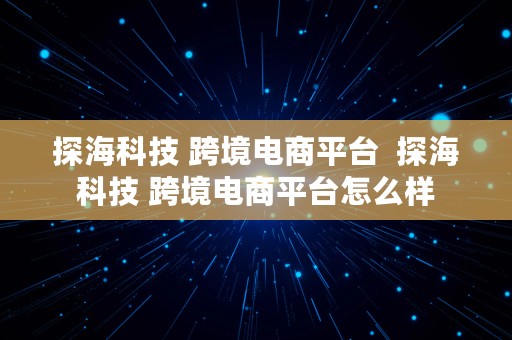 探海科技 跨境电商平台  探海科技 跨境电商平台怎么样