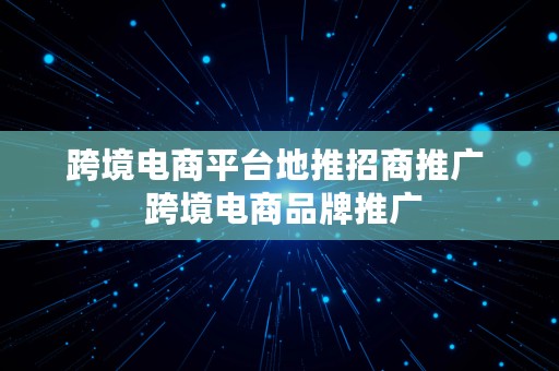 跨境电商平台地推招商推广  跨境电商品牌推广