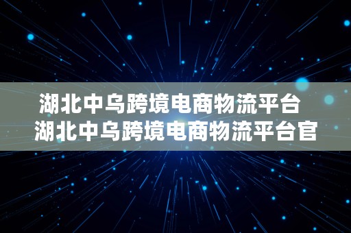 湖北中乌跨境电商物流平台  湖北中乌跨境电商物流平台官网