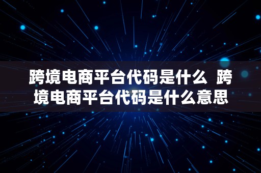 跨境电商平台代码是什么  跨境电商平台代码是什么意思