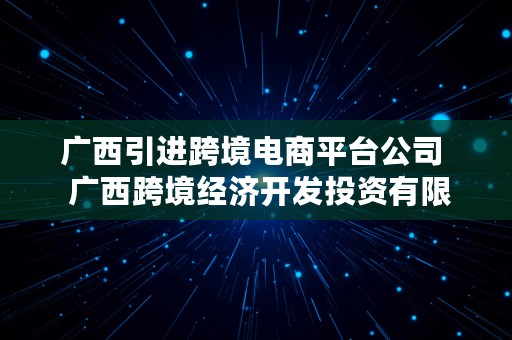 广西引进跨境电商平台公司  广西跨境经济开发投资有限公司