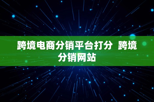 跨境电商分销平台打分  跨境分销网站