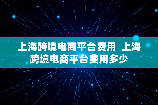 上海跨境电商平台费用  上海跨境电商平台费用多少