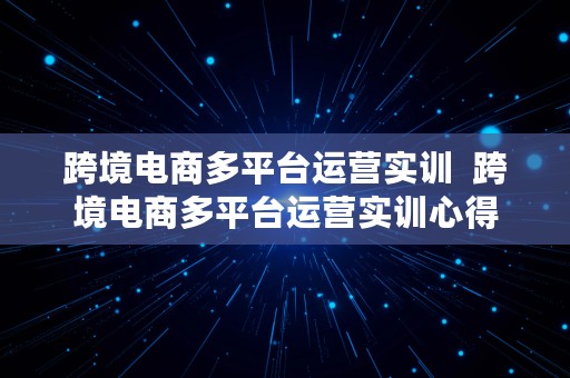 跨境电商多平台运营实训  跨境电商多平台运营实训心得