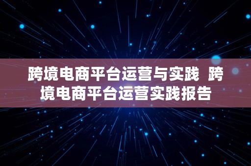 跨境电商平台运营与实践  跨境电商平台运营实践报告