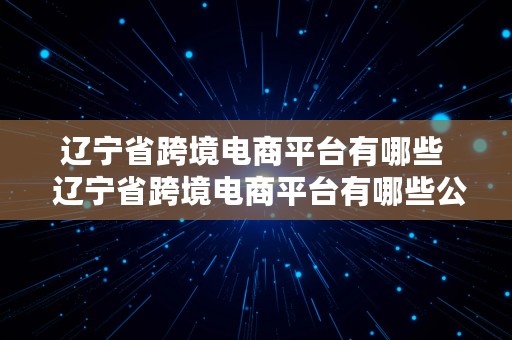 辽宁省跨境电商平台有哪些  辽宁省跨境电商平台有哪些公司