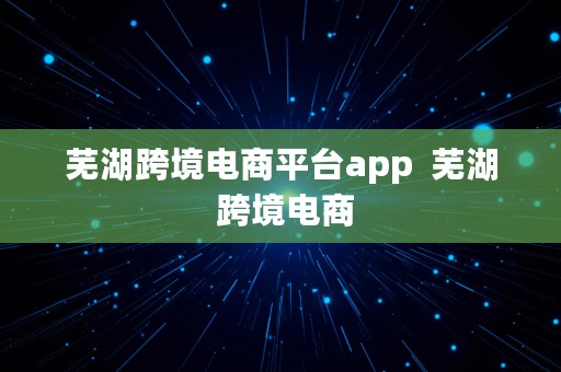 芜湖跨境电商平台app  芜湖 跨境电商