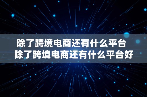 除了跨境电商还有什么平台  除了跨境电商还有什么平台好做