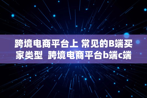 跨境电商平台上 常见的B端买家类型  跨境电商平台b端c端有哪些