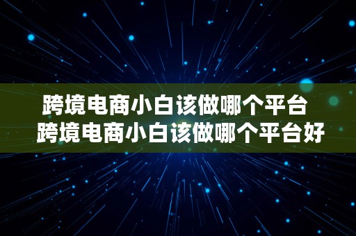 跨境电商小白该做哪个平台  跨境电商小白该做哪个平台好